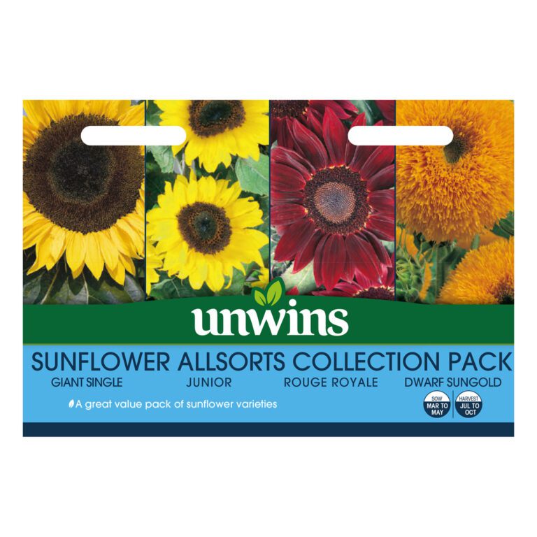 5051618028042 1 Sunflower Allsorts Collection 4 In 1 Seeds.jpg